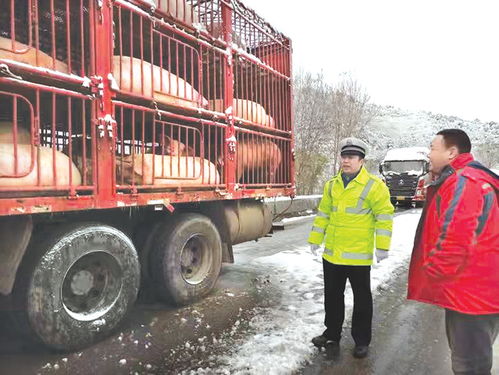 用熱情澆筑平安——交警三大隊三中隊交通管理工作紀實